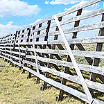 Snow Fence