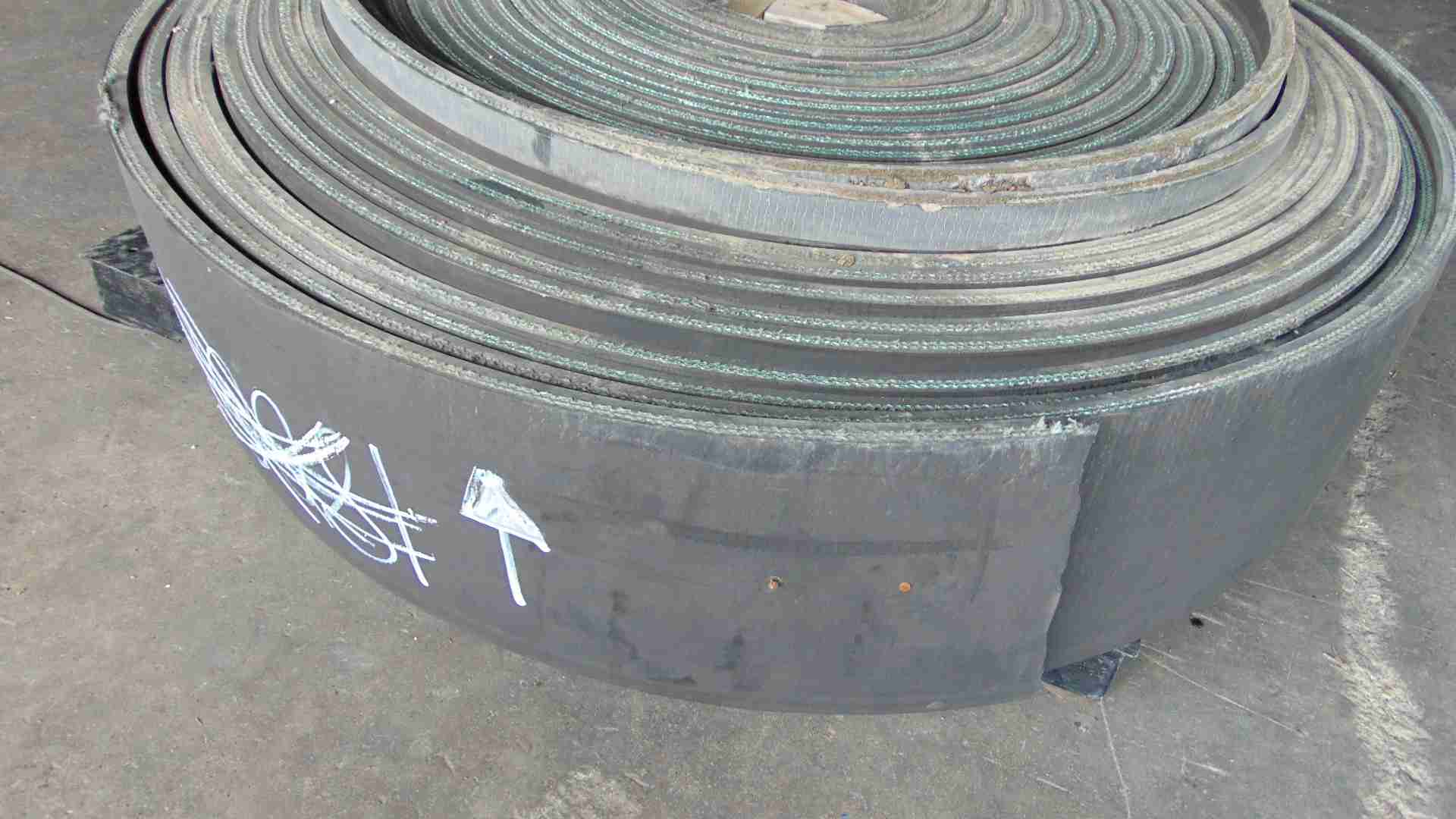 Conveyor 11-1/2" x 226' x 3/4 - 2ply - Image 5