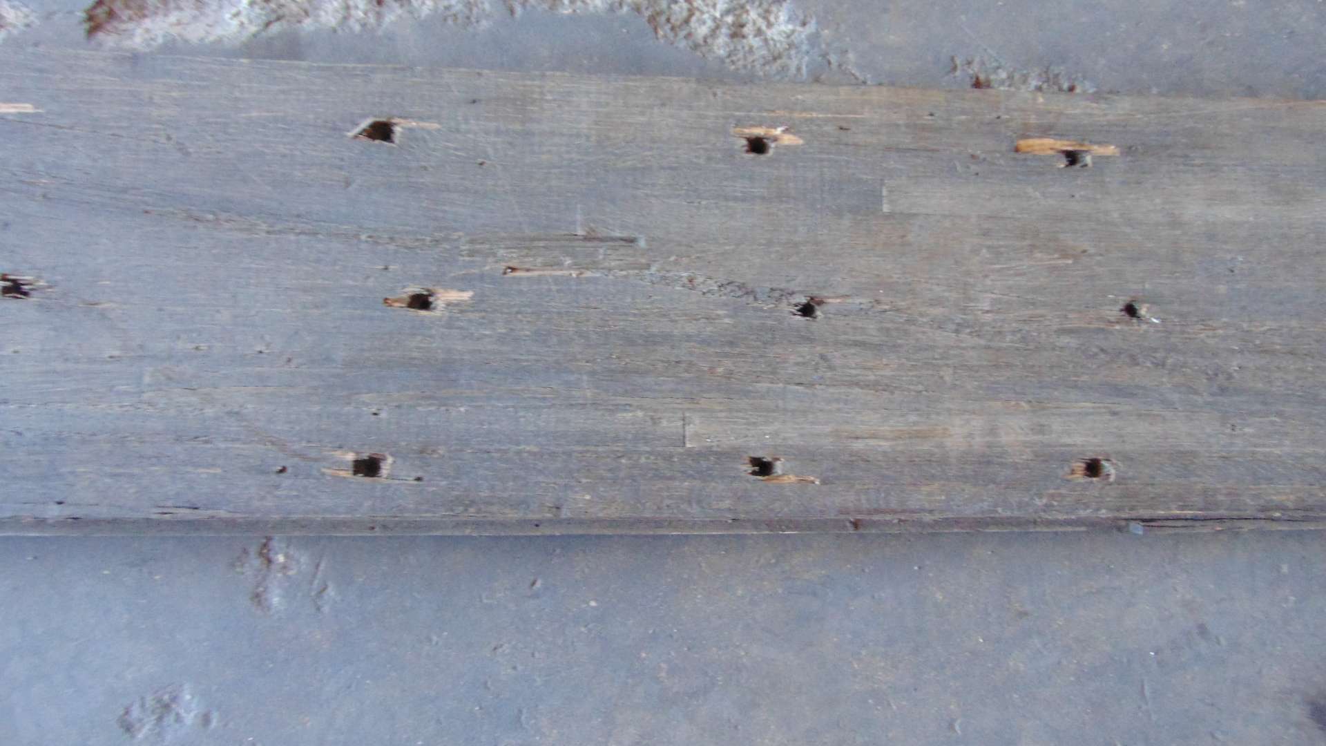 Reclaimed Semi-Trailer Flooring - 12" x 12' x 1" - Image 8