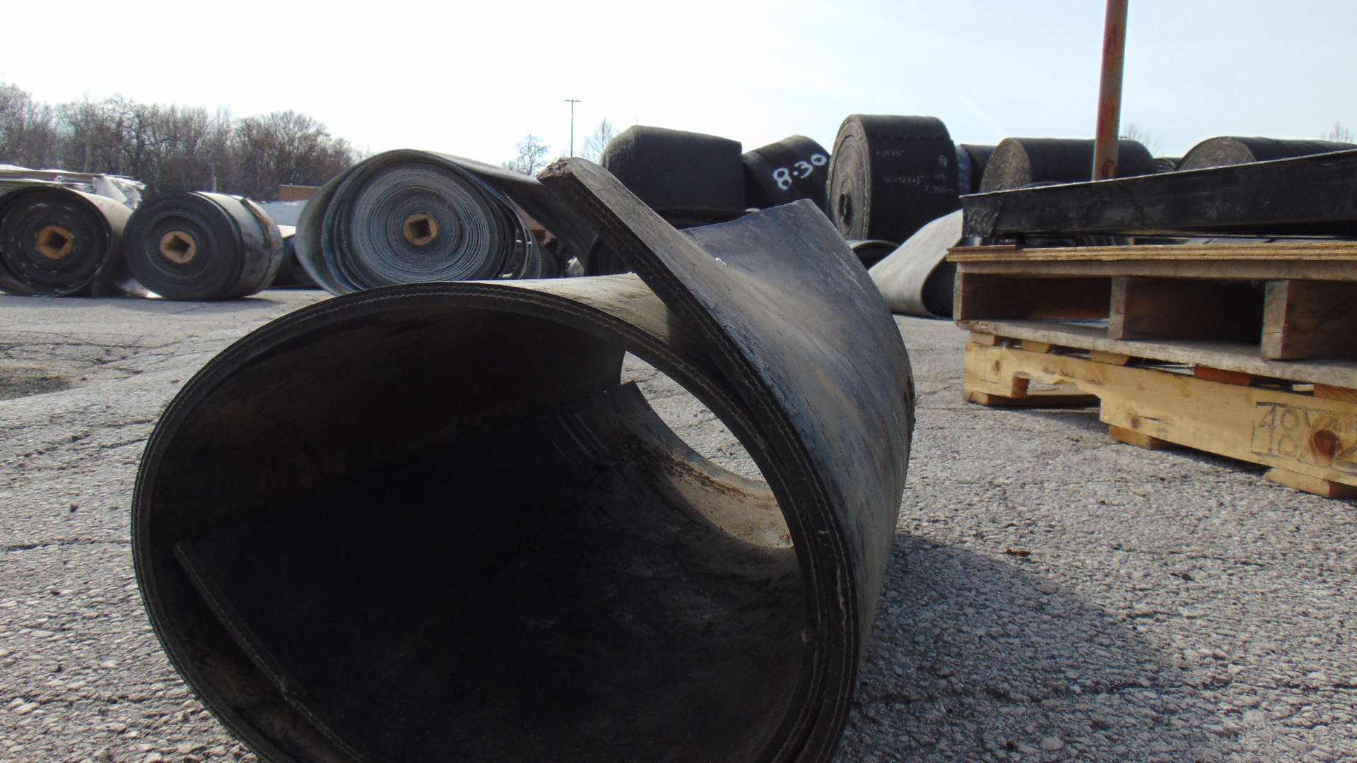Conveyor 23" x 2' x 3/8" - 2ply - Image 6