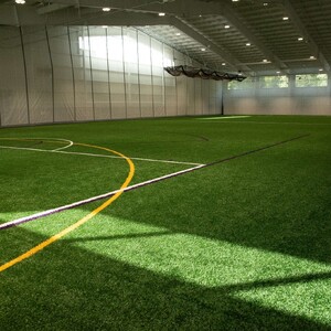 Indoor Turf