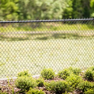 Chain Link Fence