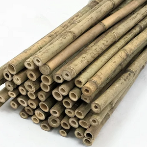 Bamboo Stakes