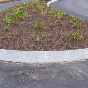 Granite Curbing