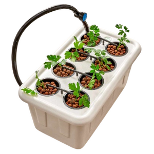 Hydroponic Containers