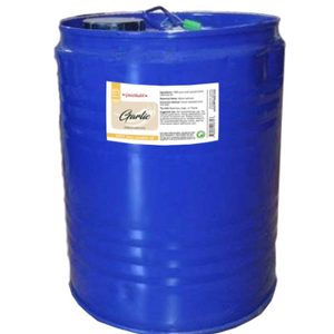 Garlic Oil