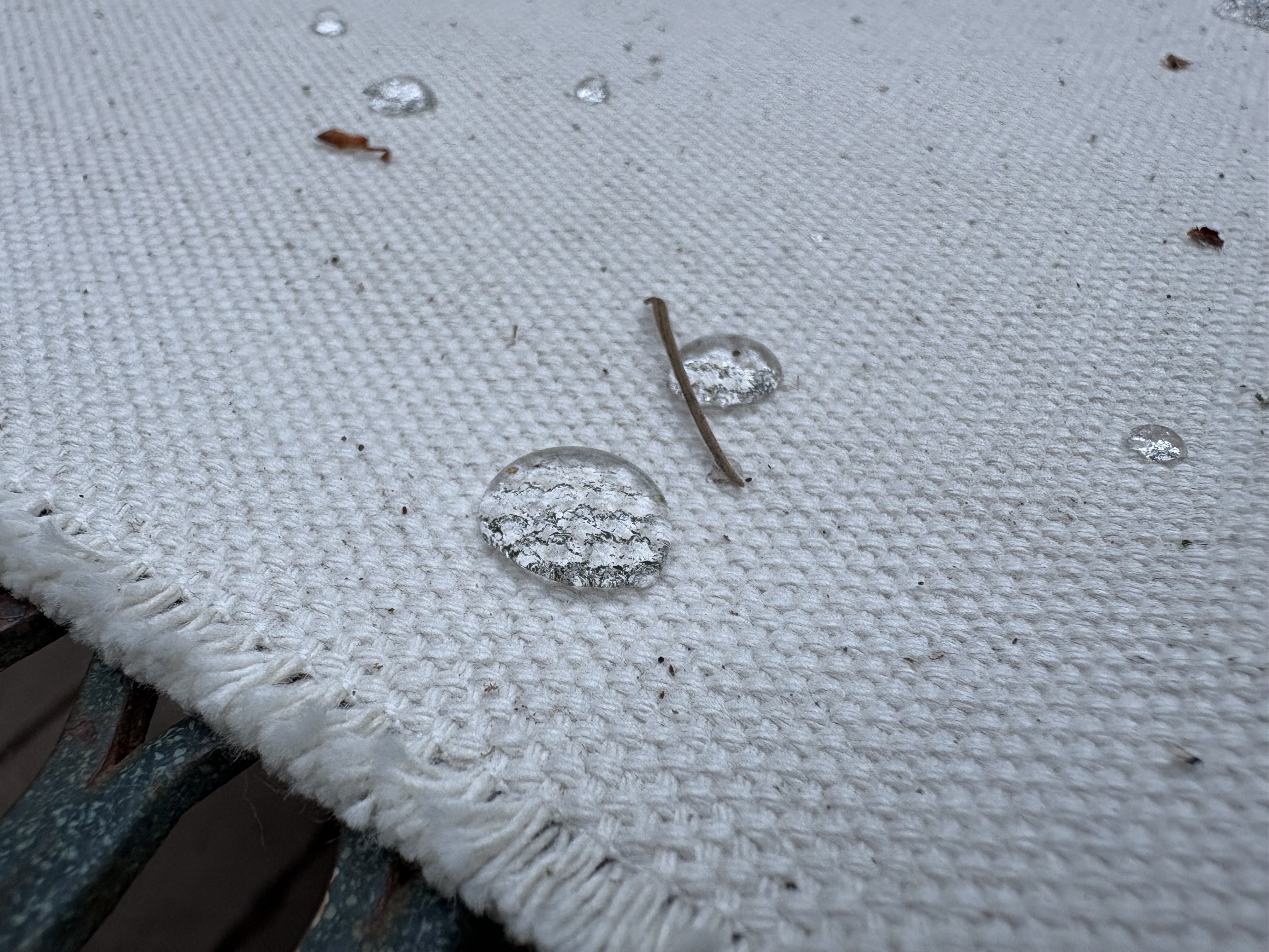 Canvas Sheets