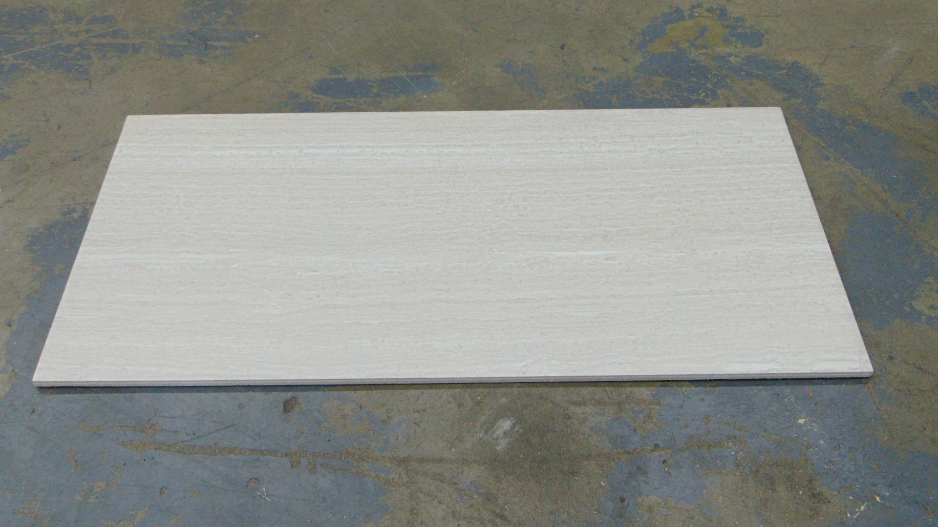 Leonia Silver - 12" x 24" - Image 7