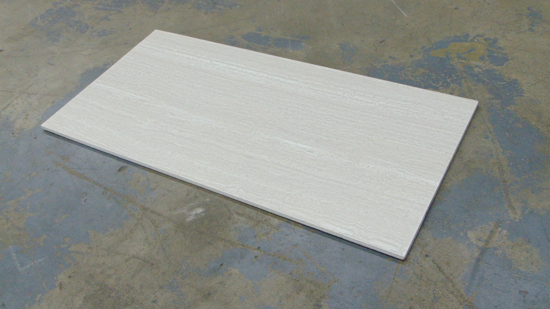 Leonia Silver - 12" x 24" - Image 8
