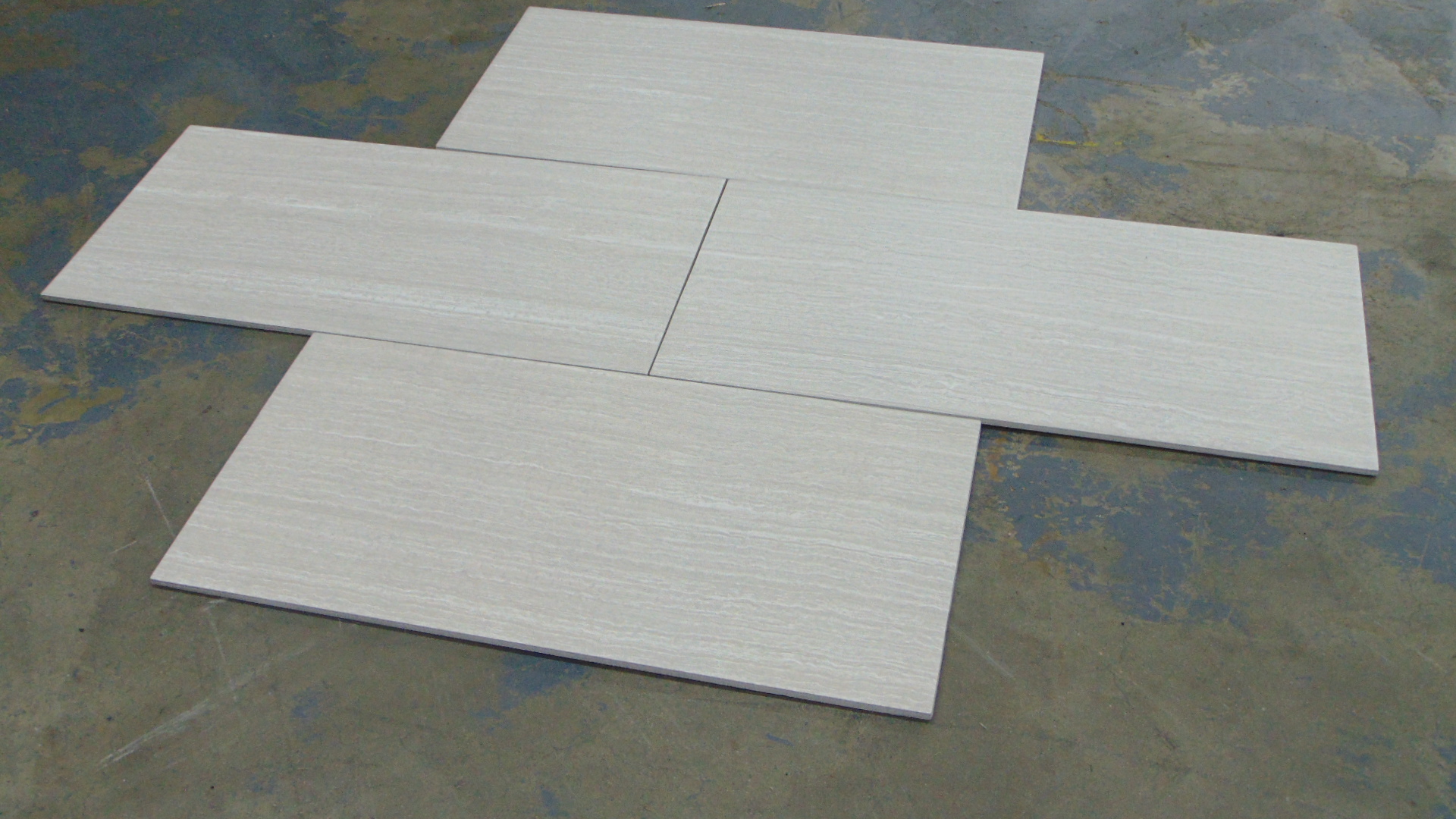Leonia Silver - 12" x 24" - Image 3