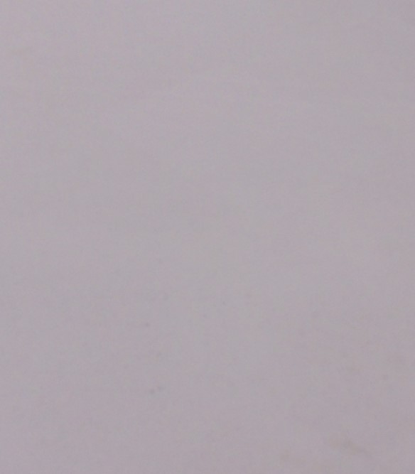 Serena White - 24" x 48"