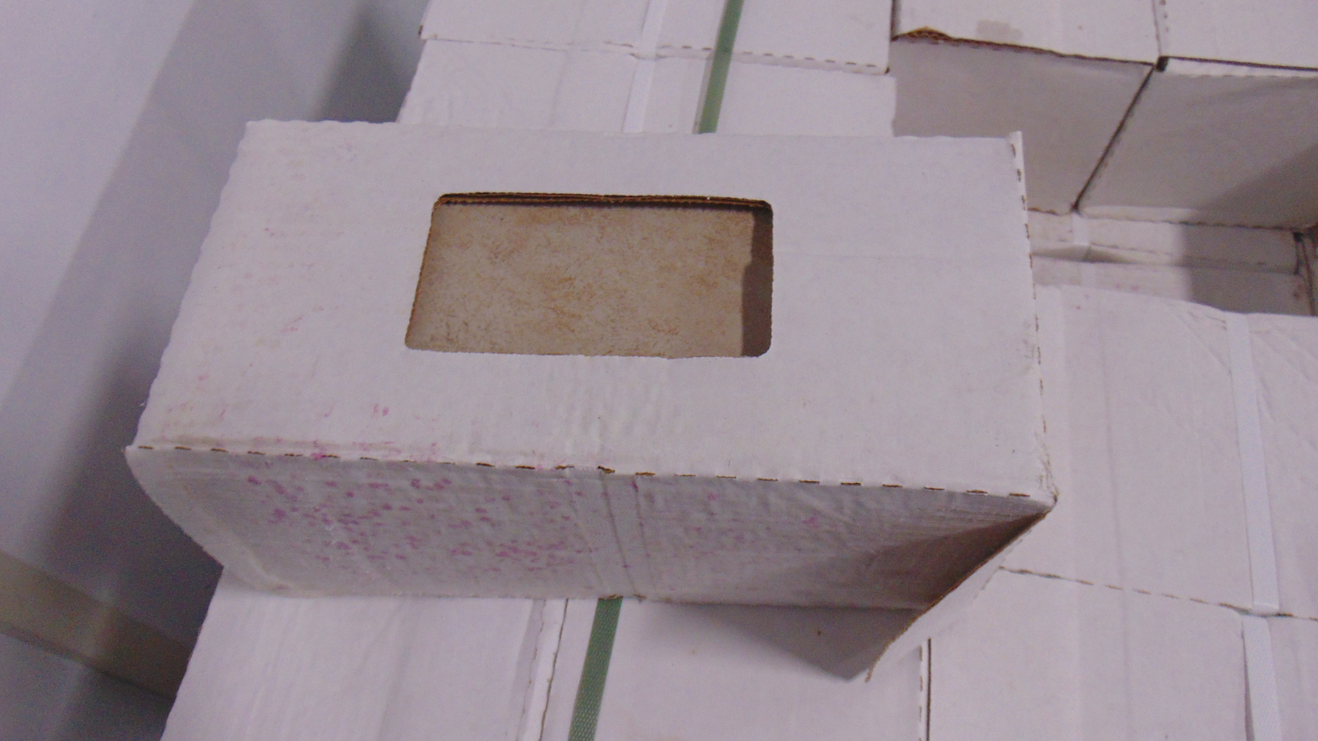 Mesa Beige - 6" x 12" - Image 6