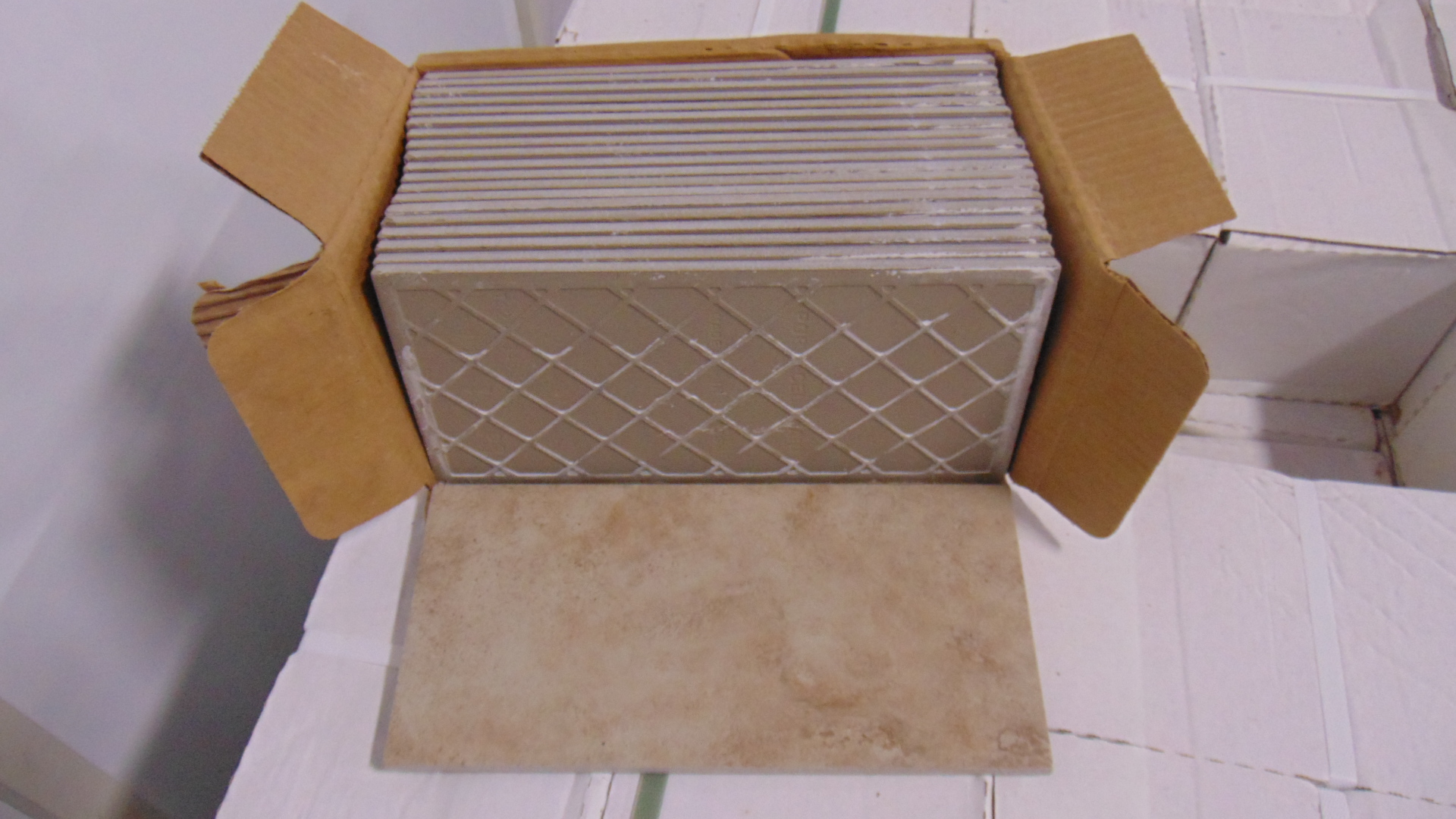 Mesa Beige - 6" x 12" - Image 7