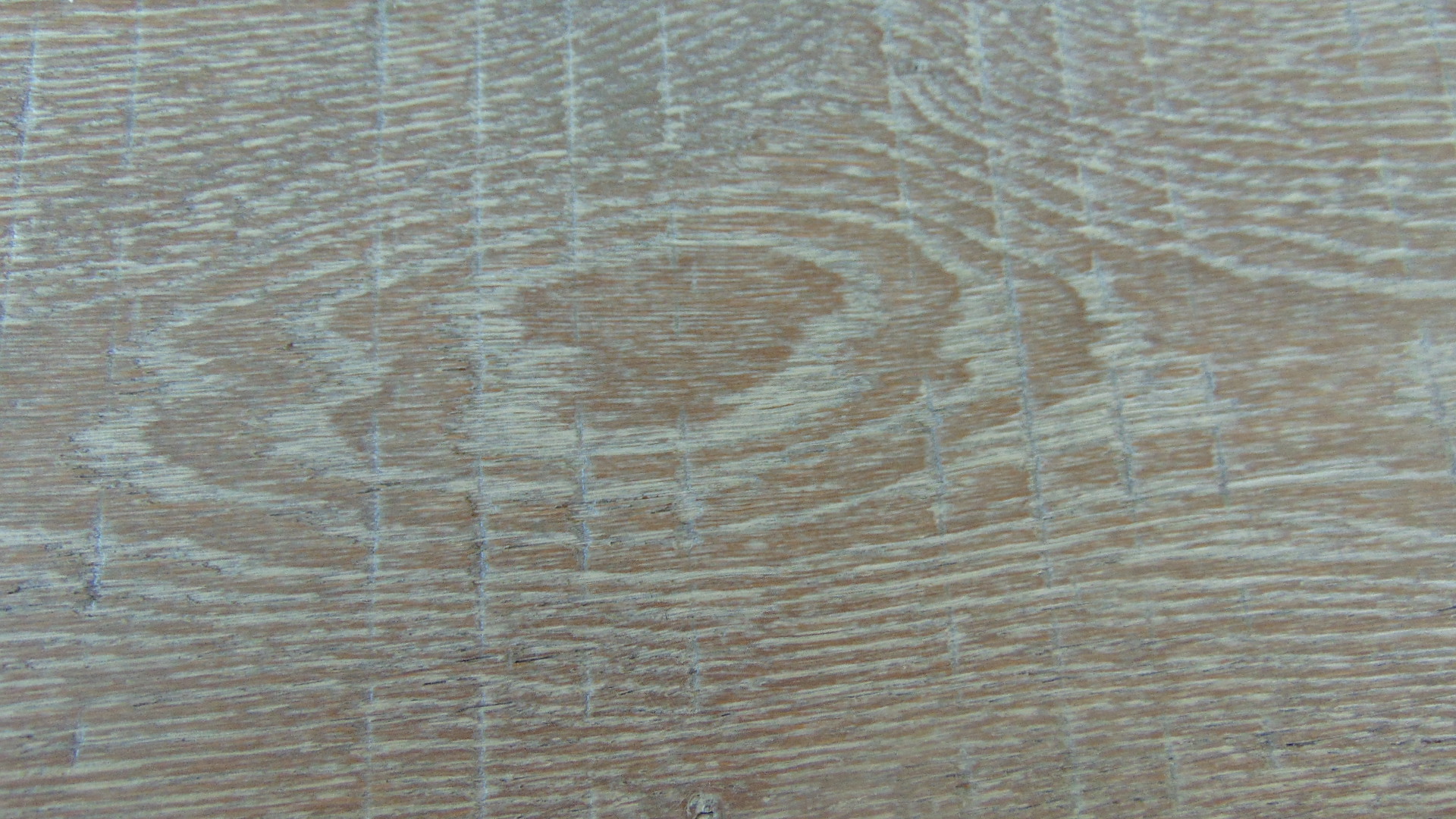 Engineered Hardwood Flooring - Paint Branch Euro Oak - Image 8