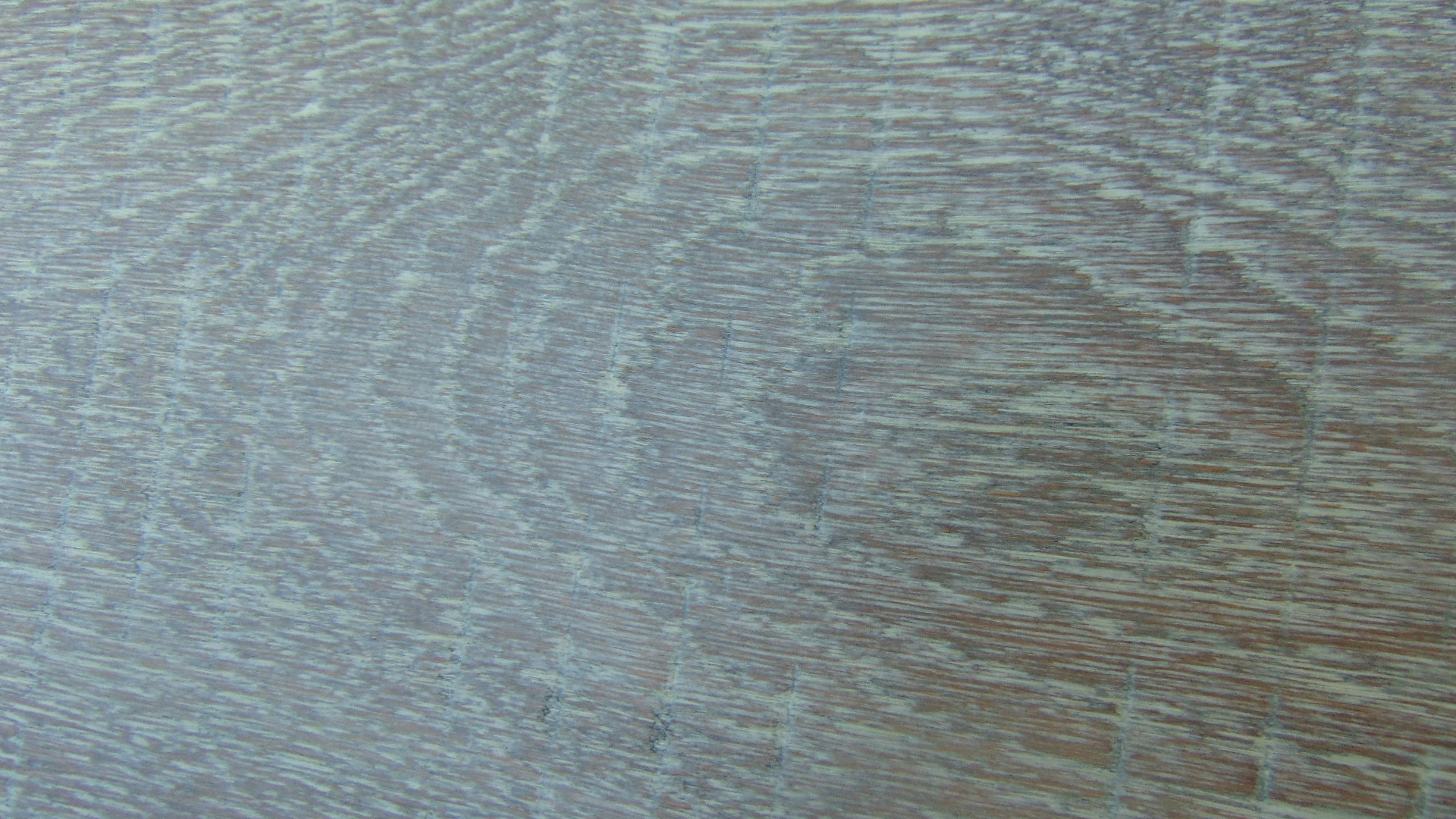 Engineered Hardwood Flooring - Paint Branch Euro Oak