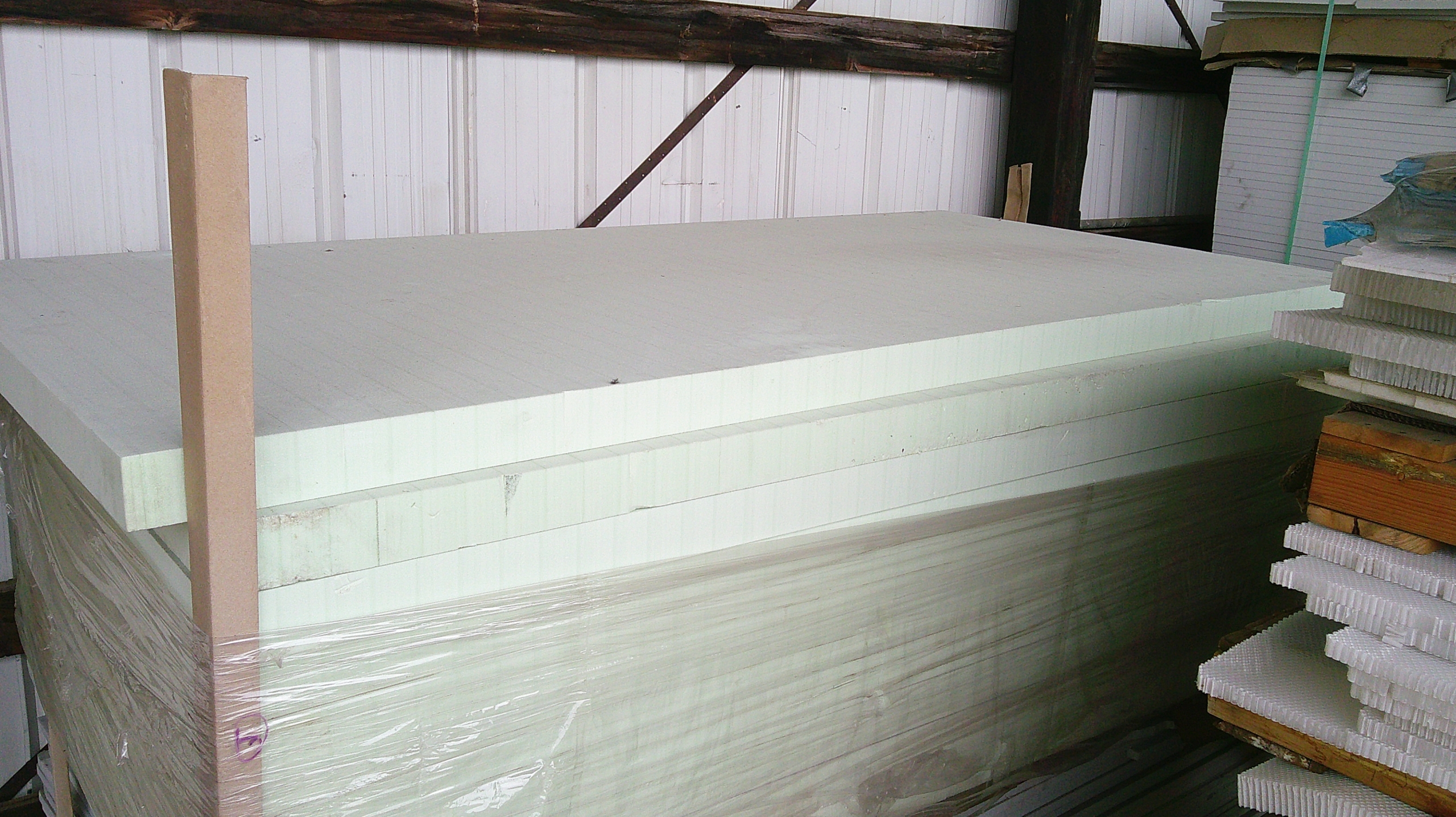 Thermoplastic Foam Core Panel