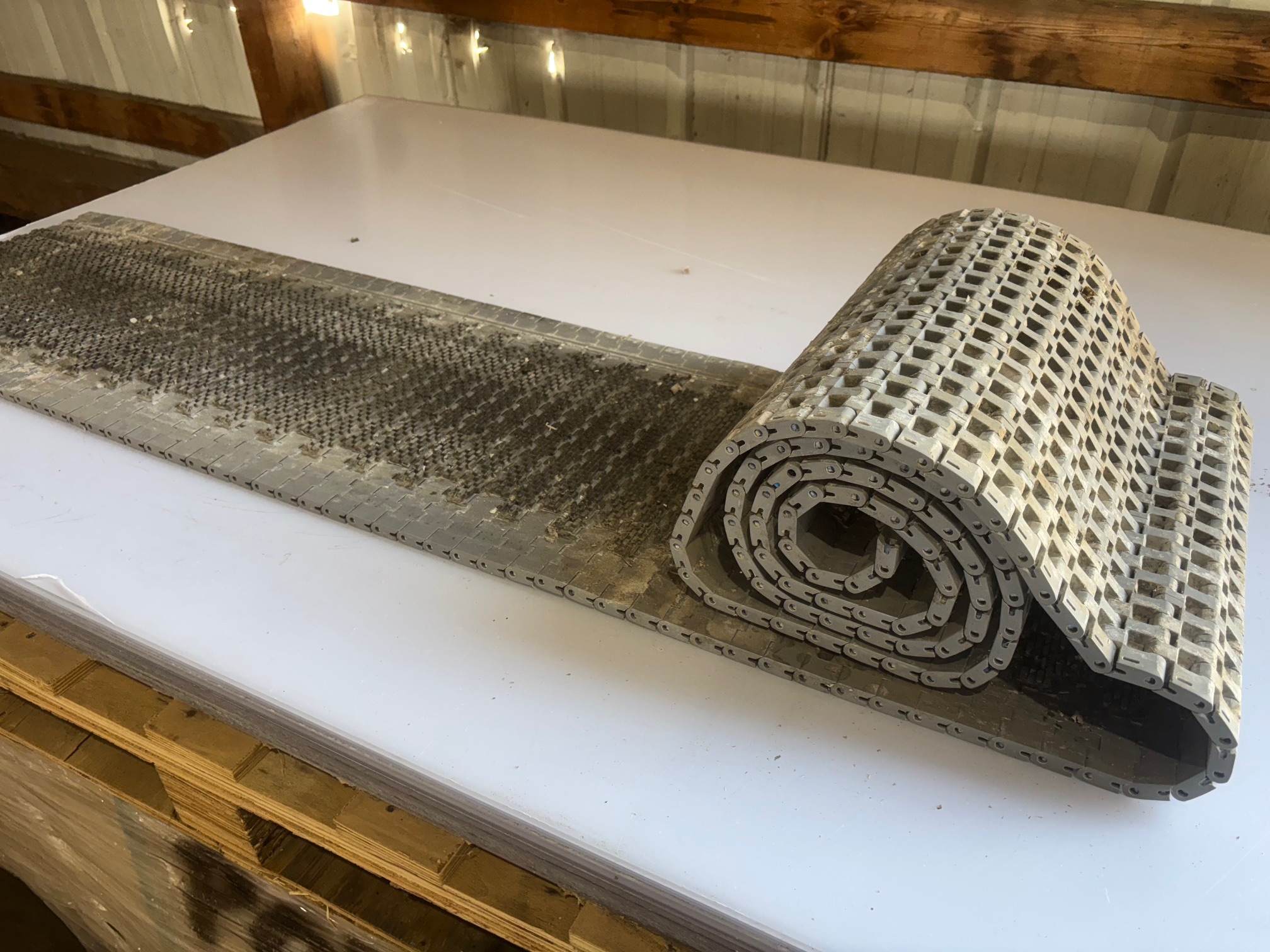 Plastic Conveyor - 15-1/4" x 10' x 3/4"