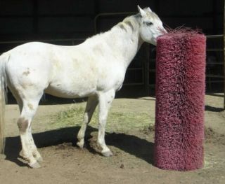 horse street sweeper brush