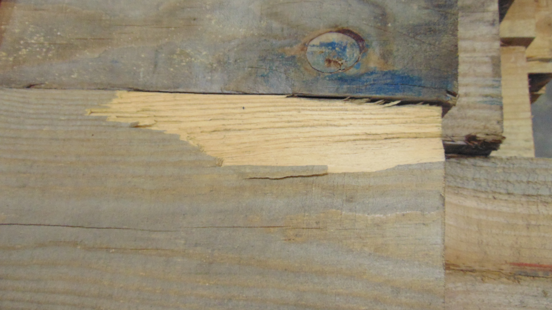 A heat treated wood timber