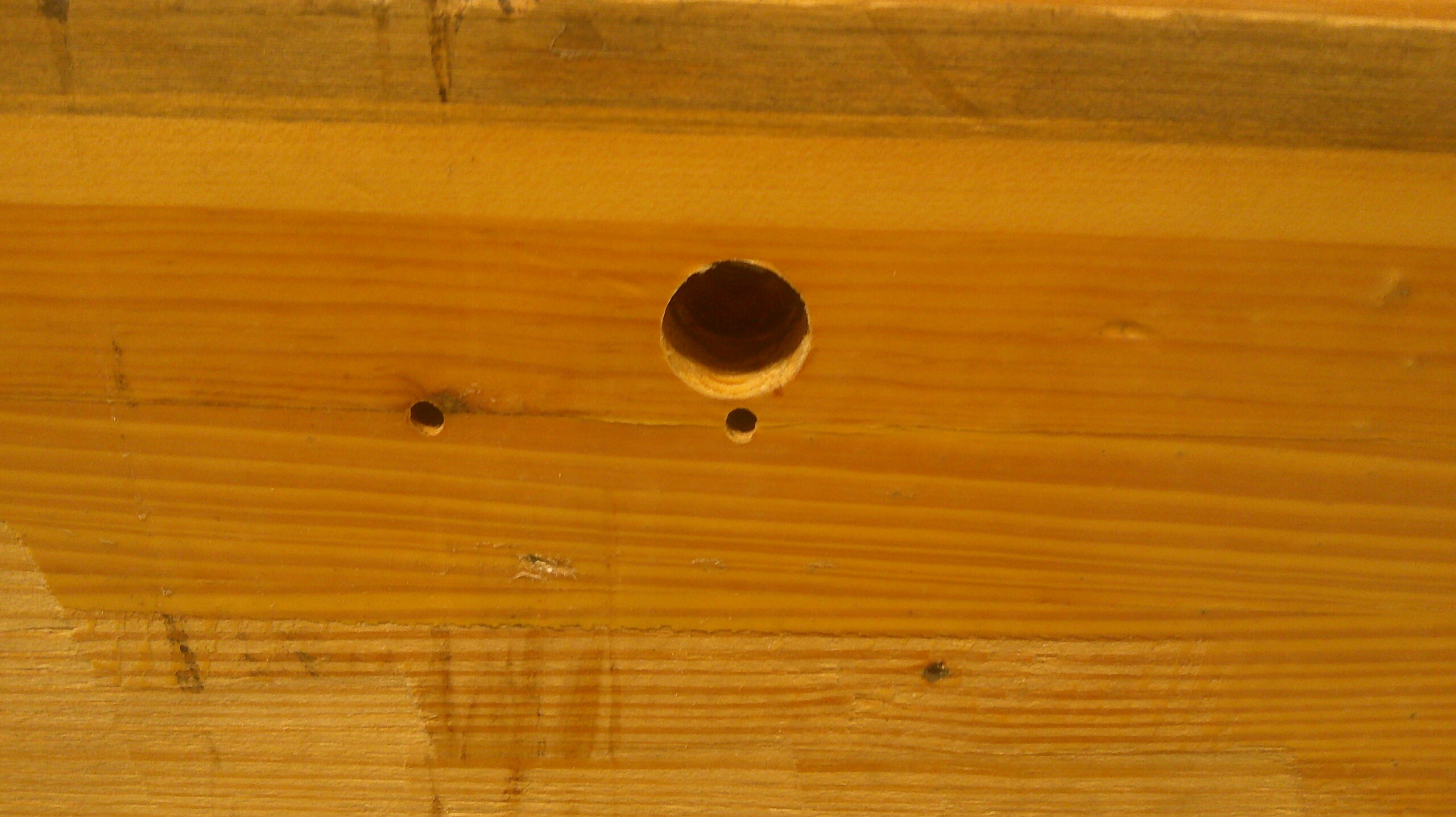 Bowling Alley Wood - 12' x 42" x 2" - Finger Joints - Image 6
