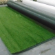 Unused Turf