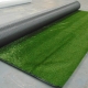 Unused Turf