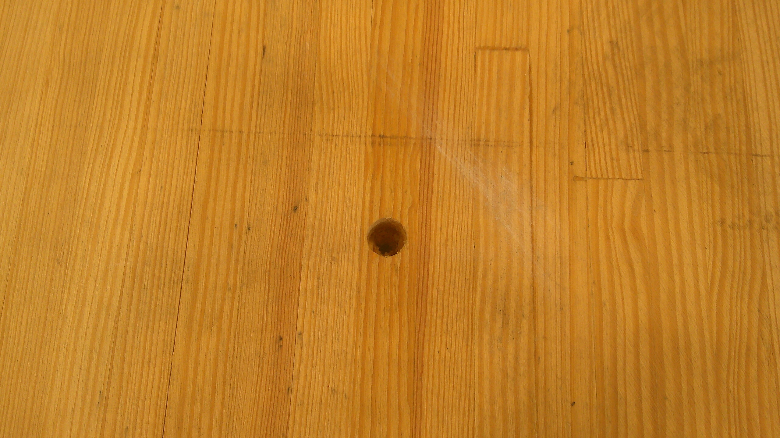 Bowling Alley Wood - 12' x 42" x 2" - Plain - Image 2