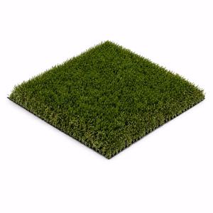 Unused turf