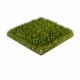 Unused turf