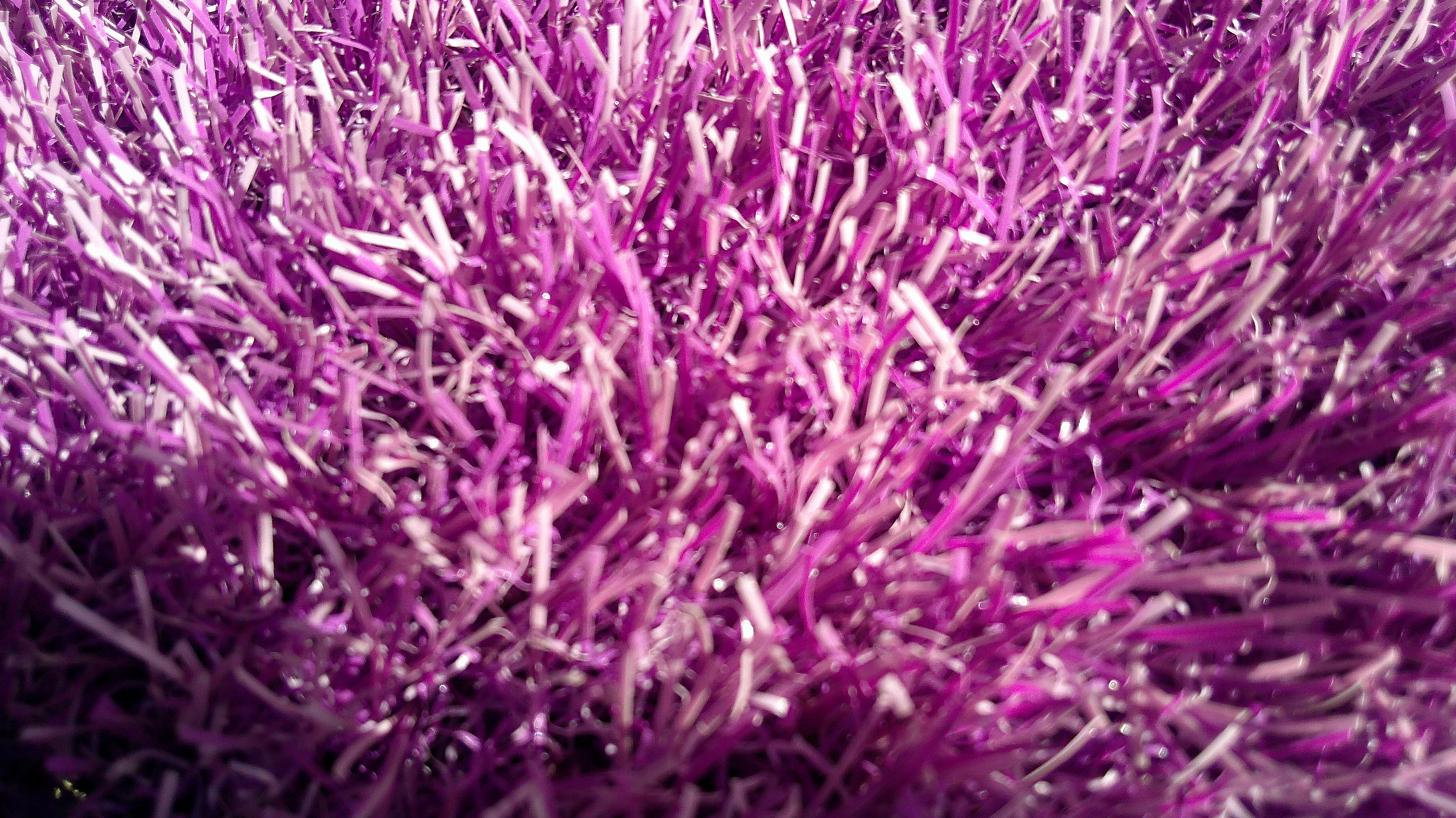 Unused Turf