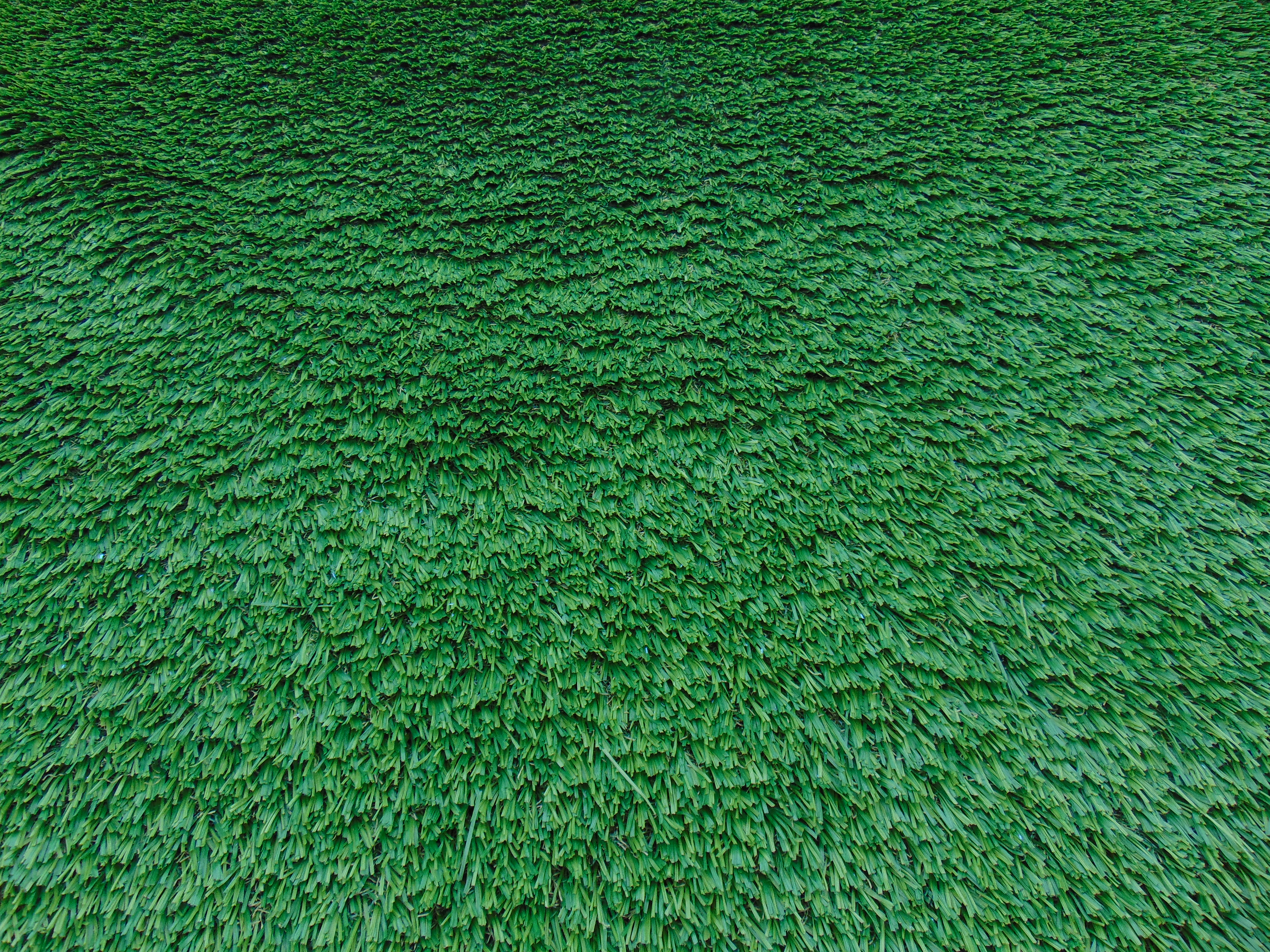 Unused Turf