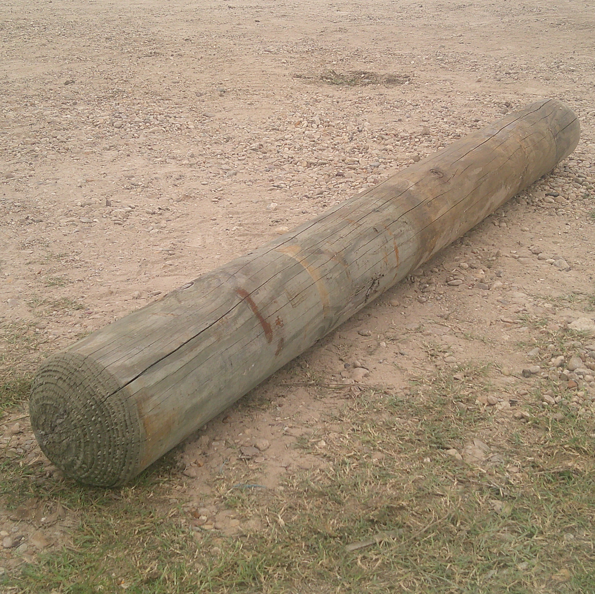 Treated Guardrail Post - 7" x 6'