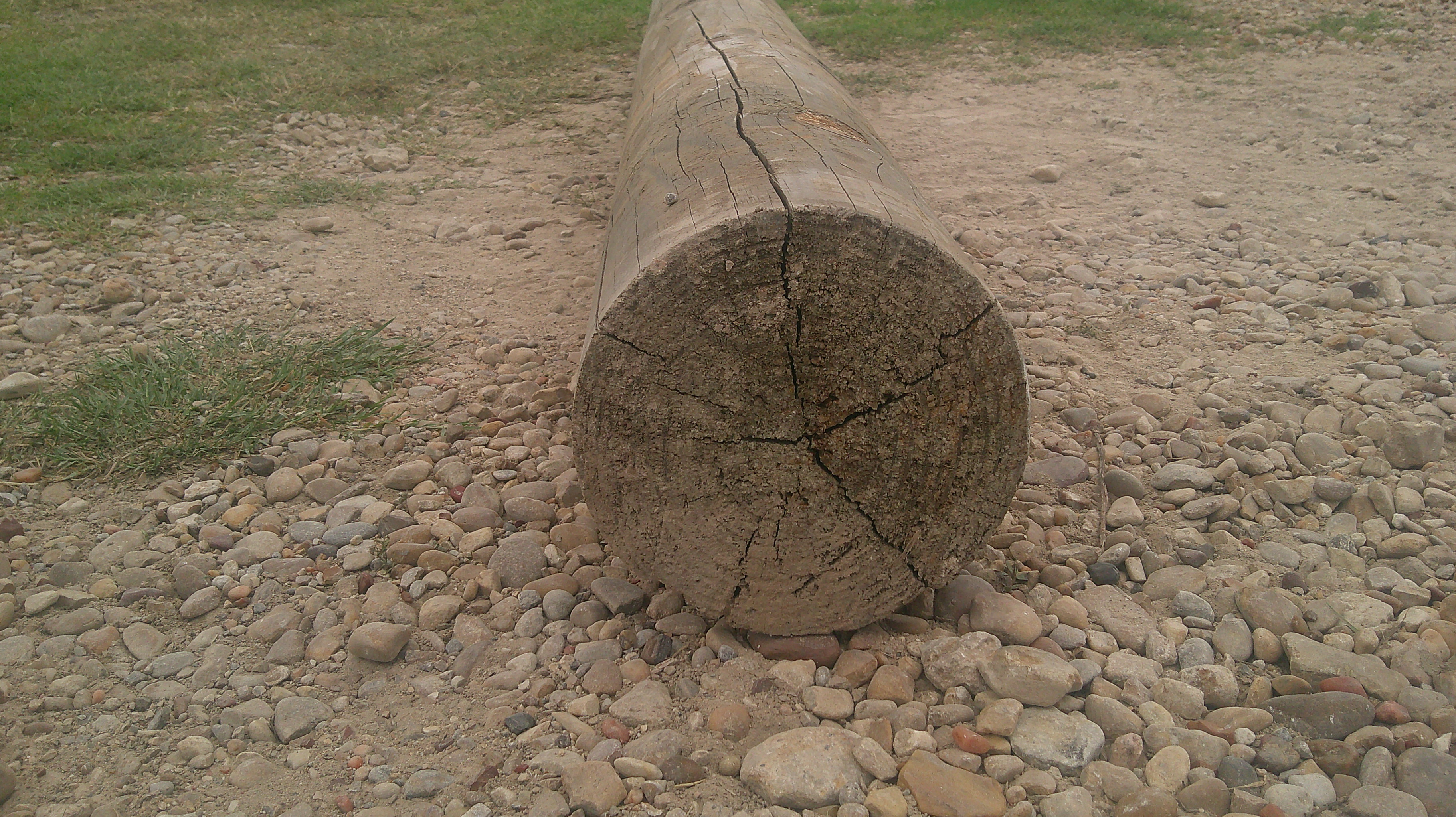 Treated Guardrail Post - 7" x 6' - Image 3