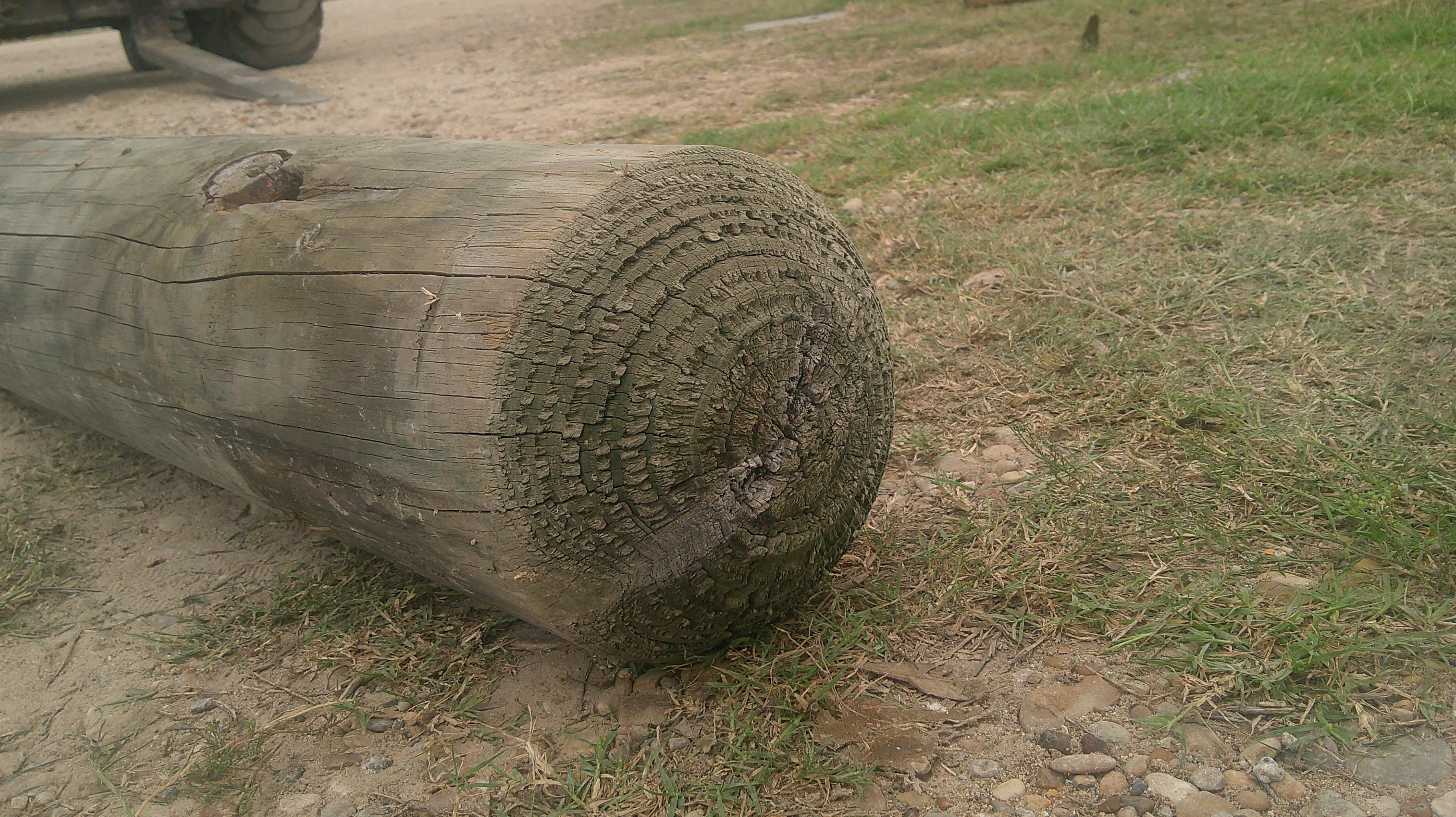 Treated Guardrail Post - 7" x 6' - Image 4