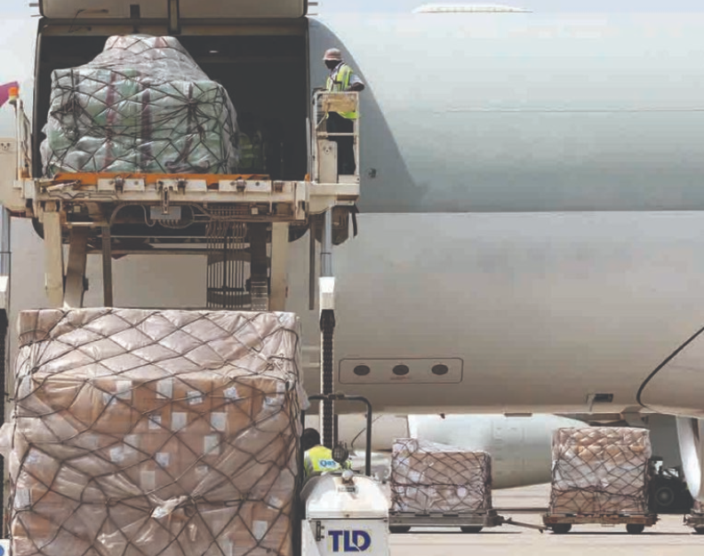 Cargo Netting - 88" x 125" x 118"