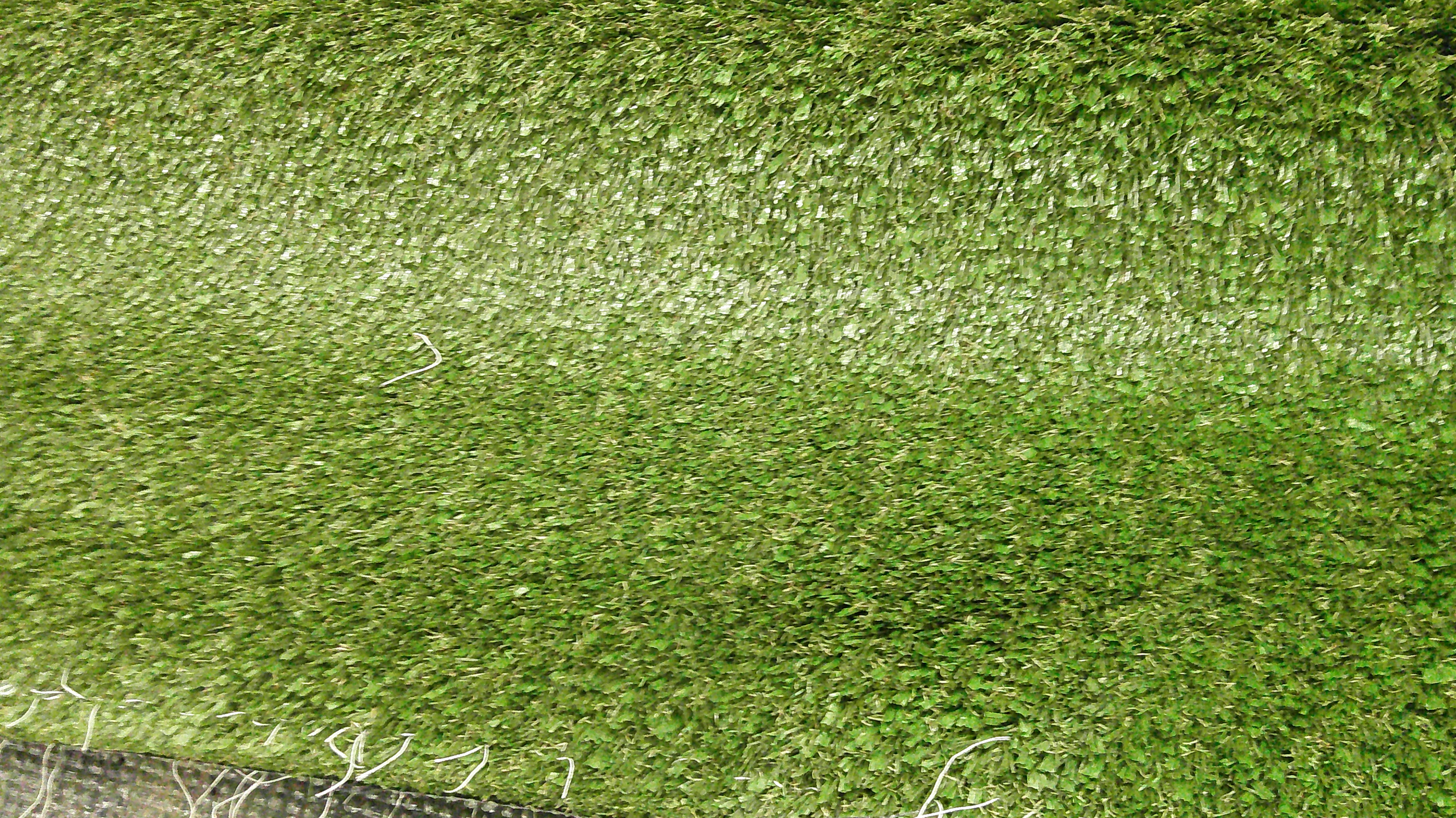 Unused Turf