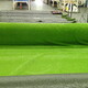 Unused Turf - No Infill - 15' x 163' Unused Turf