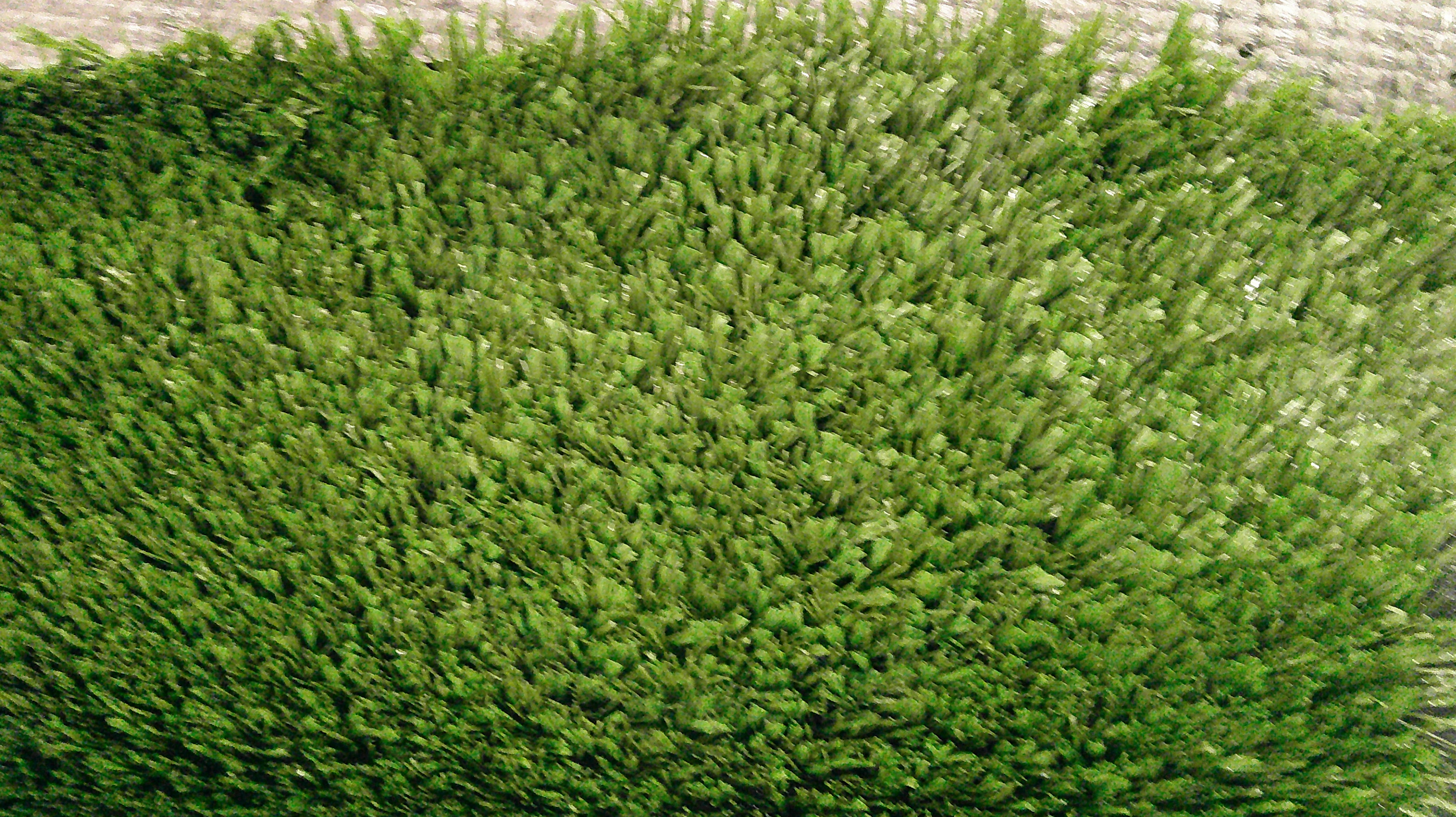 Unused Turf