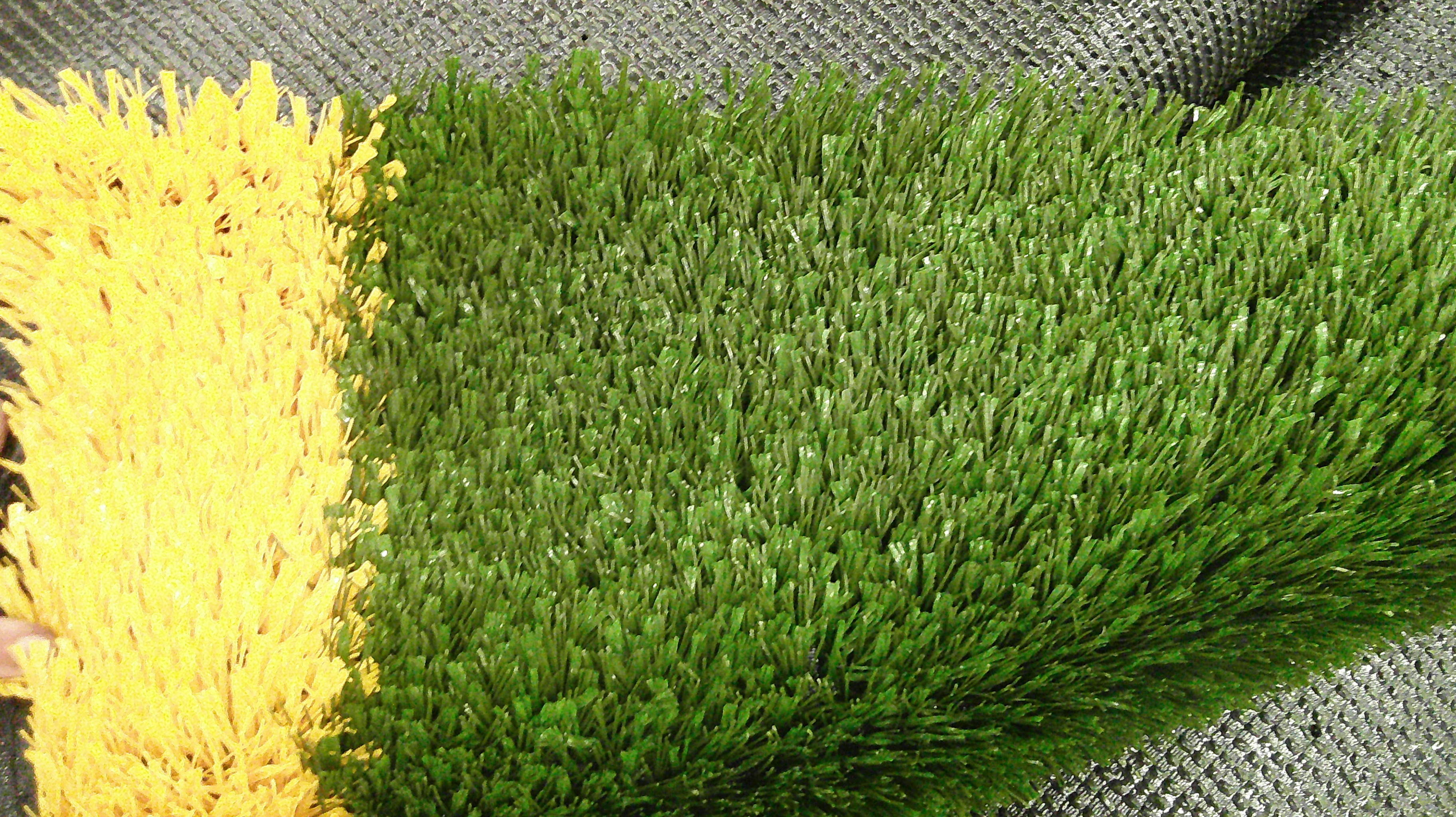 Unused Turf