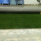 Unused Turf - No Infill - 15' x 107' Unused Turf