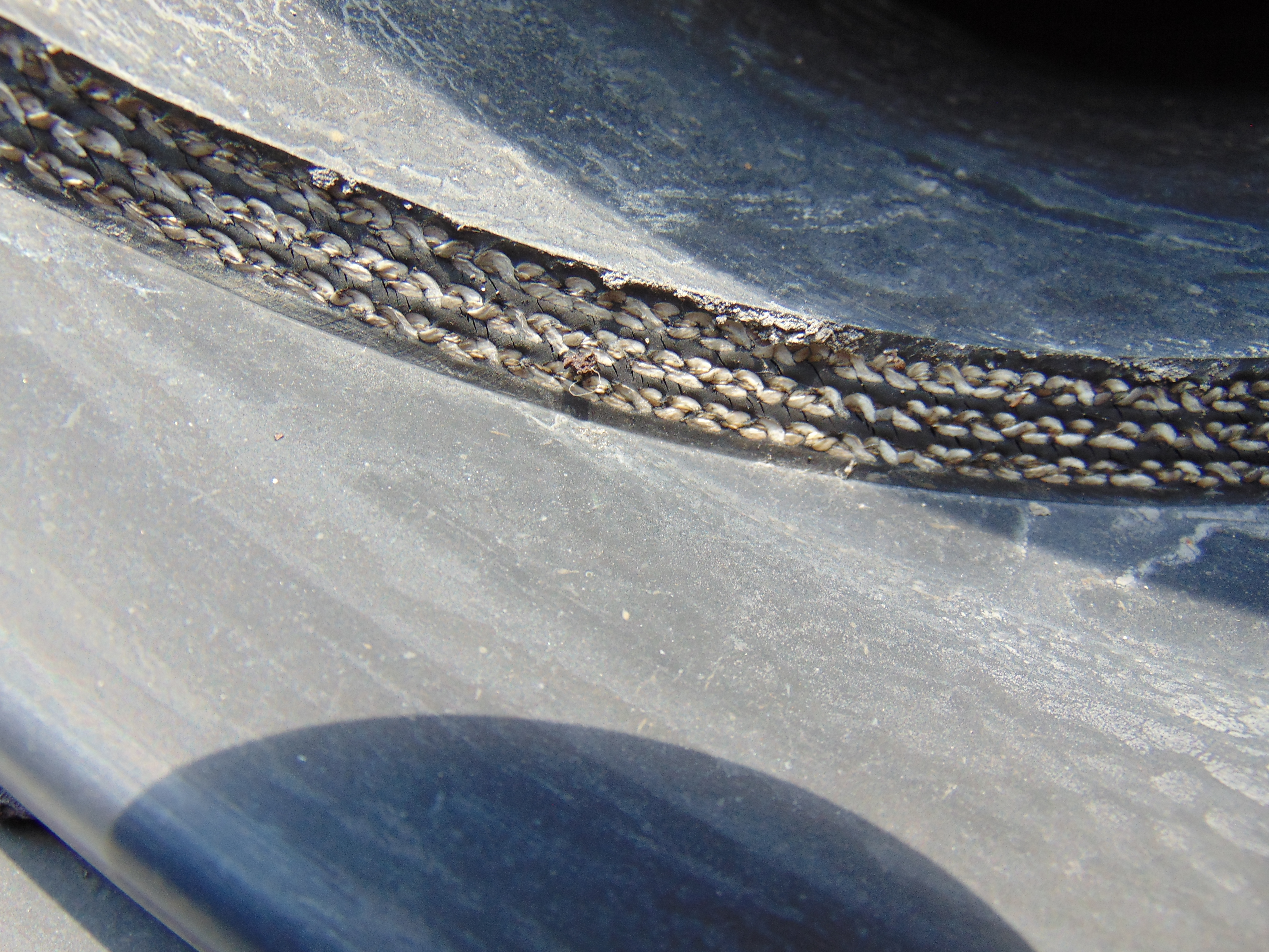 Used Rubber Conveyor