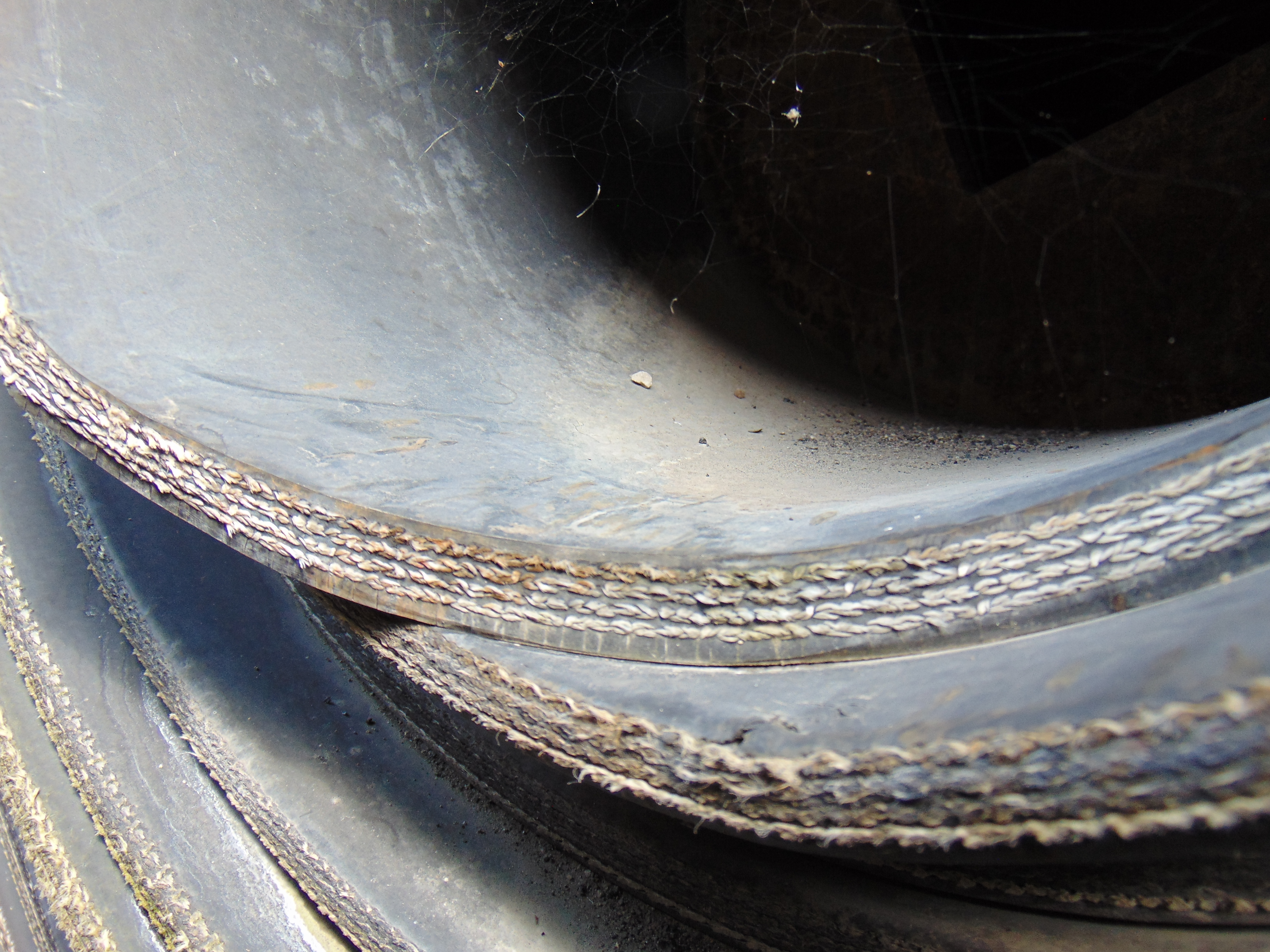 Used Rubber Conveyor
