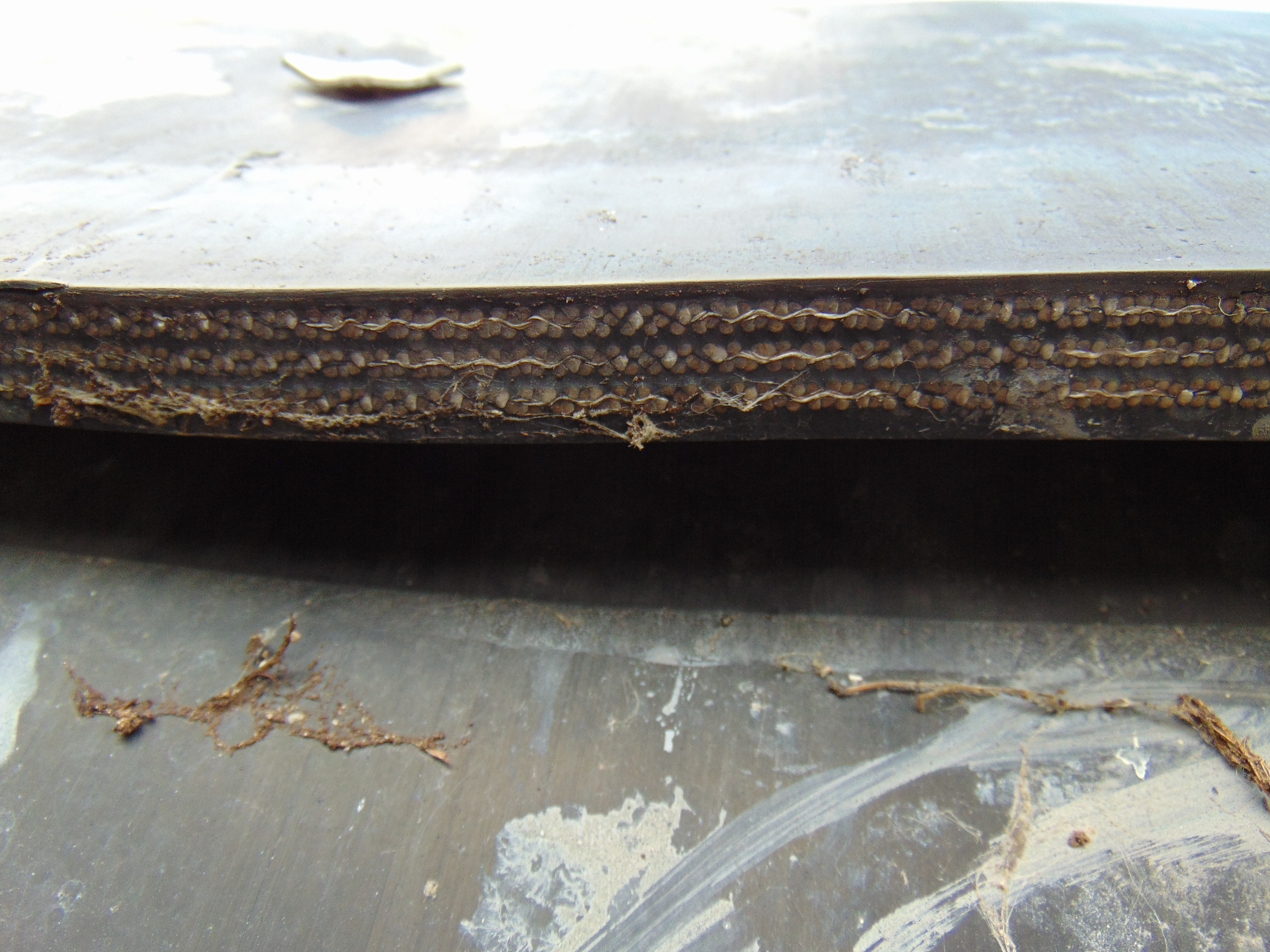 Used Rubber Conveyor