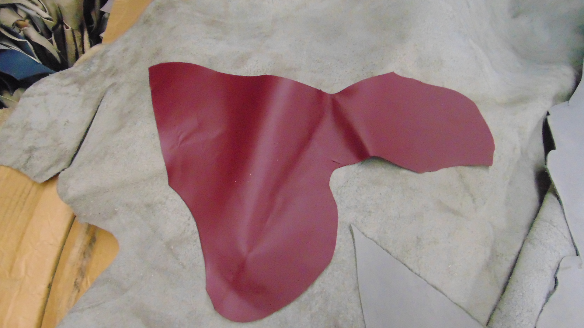 Leather Scraps
