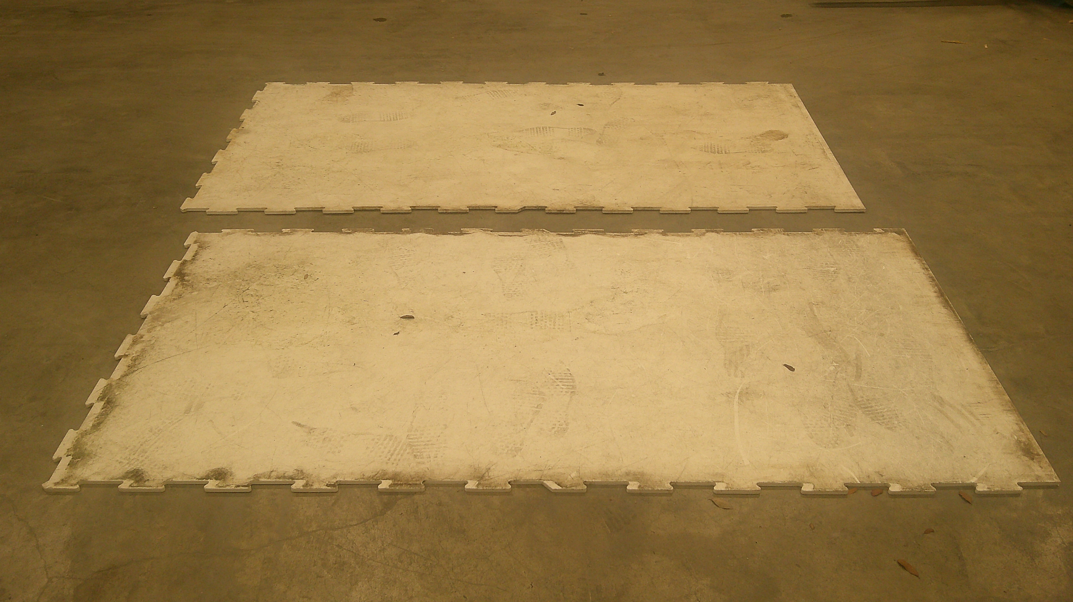 Synthetic Ice & Dasherboard System