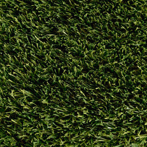 Unused Turf Evo 003
