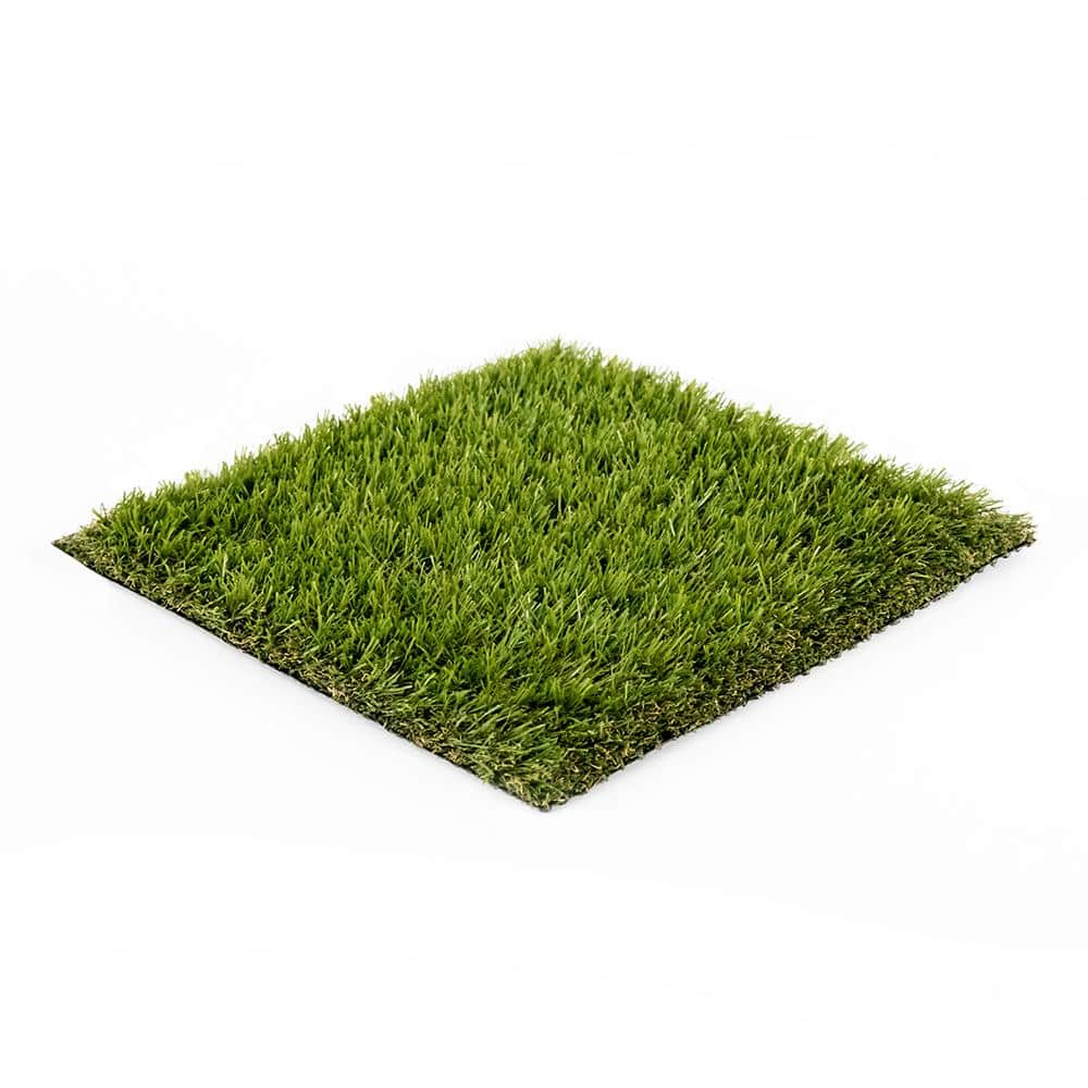 Unused Turf