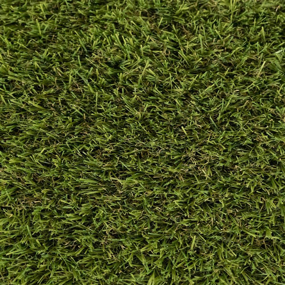 Unused Turf