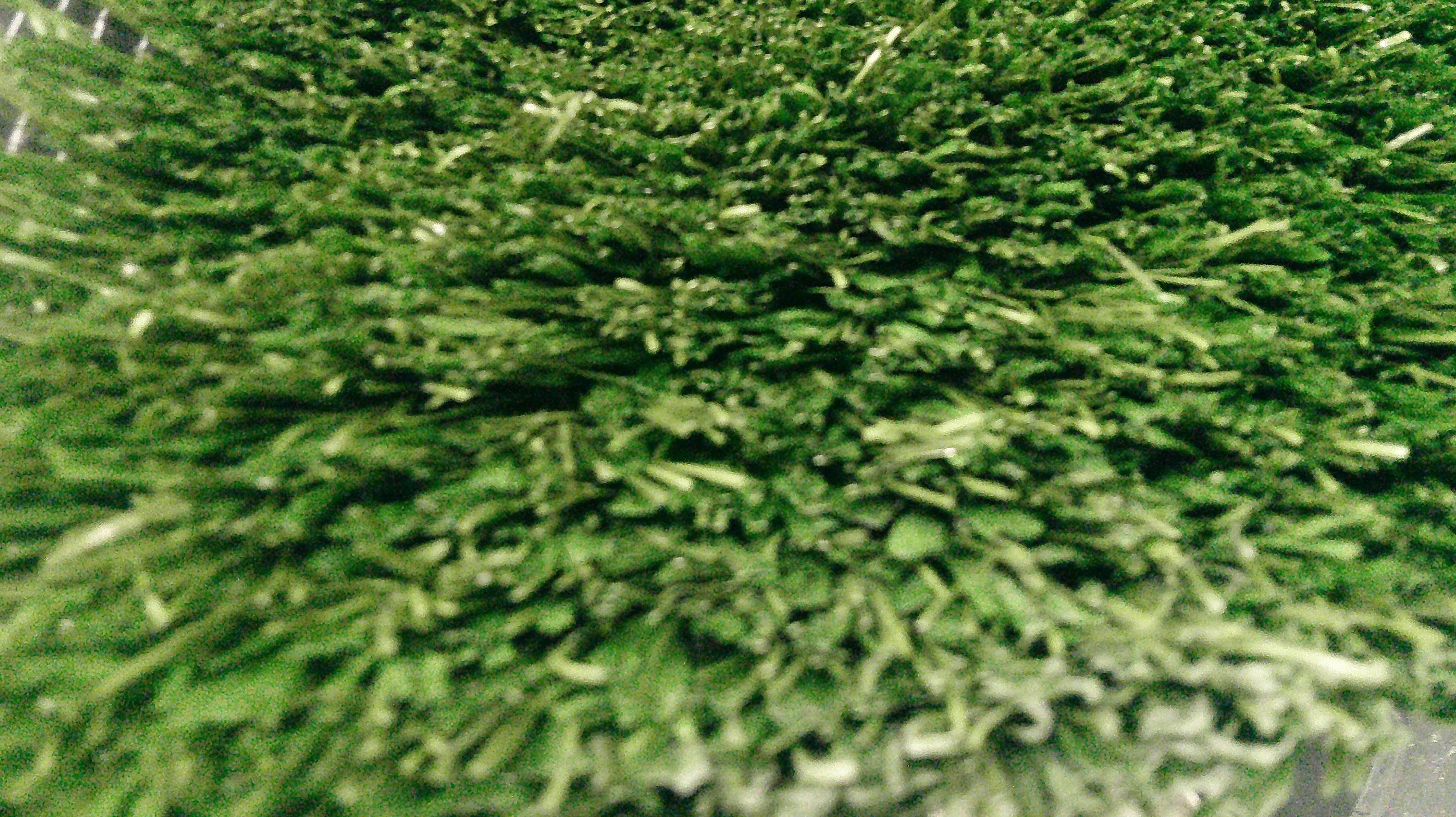 Unused Turf