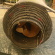 Conveyor 48" x 28' x 1/2" - 3 ply Used Conveyor Belting